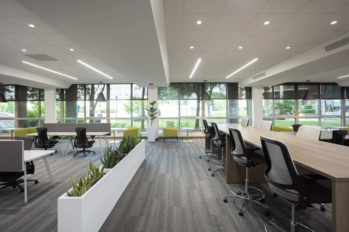 Library Renovation