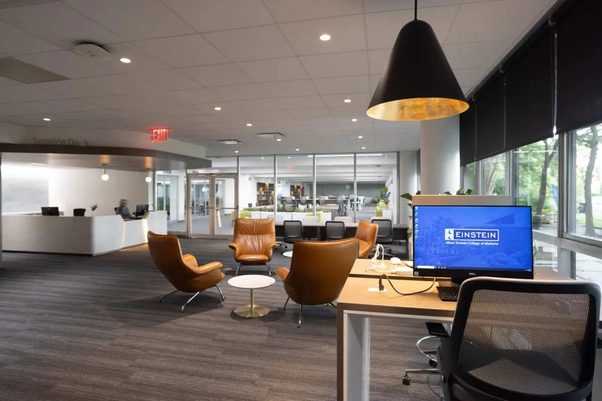Library Renovation