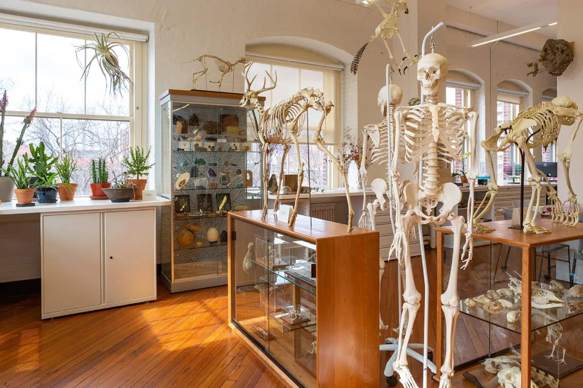Pratt Institute Foundation Lab
